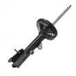 Amortisseur arrière gauche CTR GY0586G - Visuel 2