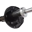 Amortisseur avant gauche CTR GY0818G - Visuel 3