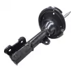 Amortisseur avant gauche CTR GY0825G - Visuel 2