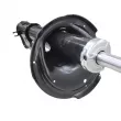 Amortisseur avant gauche CTR GY0832G - Visuel 3