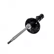 Amortisseur avant droit CTR GY0984G - Visuel 1