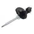 Amortisseur avant droit CTR GY1001G - Visuel 1