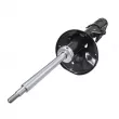 Amortisseur avant gauche CTR GY1017G - Visuel 1