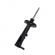 Amortisseur arrière gauche CTR GY1164G - Visuel 3
