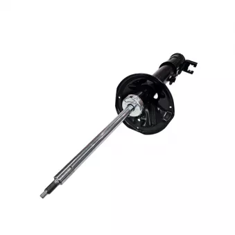 Amortisseur arrière droit CTR GY1176G