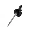 Amortisseur avant gauche CTR GY1288G - Visuel 1