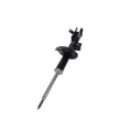 Amortisseur avant gauche CTR GY1341G - Visuel 1