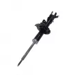 Amortisseur avant droit CTR GY1342G - Visuel 1