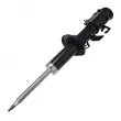 Amortisseur avant droit CTR GY1396G - Visuel 1