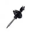 Amortisseur avant droit CTR GY1556G - Visuel 1
