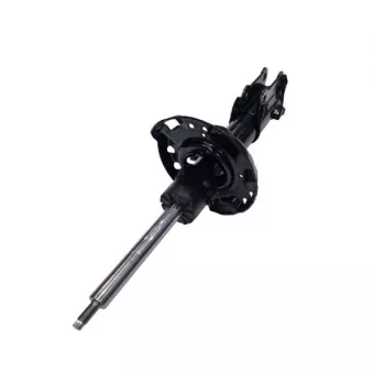 Amortisseur avant droit CTR GY1556G