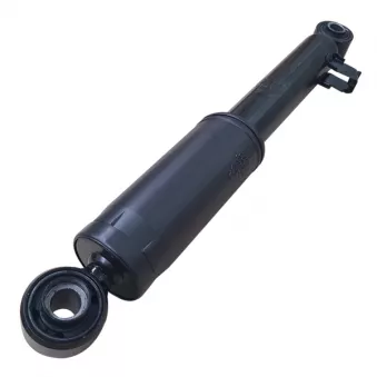 Jeu de 2 amortisseurs arrière CTR GY1559G
