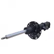 Amortisseur avant droit CTR GY1609G - Visuel 1