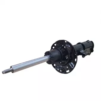 Amortisseur avant droit CTR GY1609G