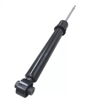 Jeu de 2 amortisseurs arrière CTR GY1610G