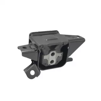 Support moteur CTR GZ0134