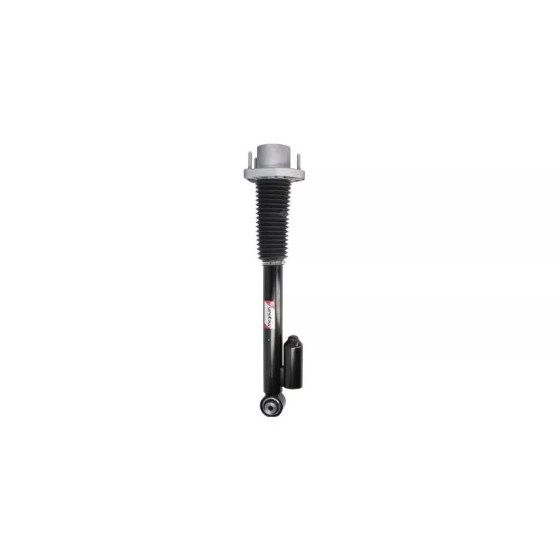 Jeu de 2 amortisseurs avant MAGNUM TECHNOLOGY APL024MT