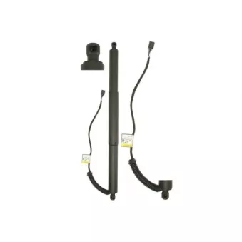 Moteur électrique, hayon MAGNUM TECHNOLOGY MGS0203MT