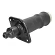 Ressort pneumatique, châssis MAGNUM TECHNOLOGY MZA010MT - Visuel 1