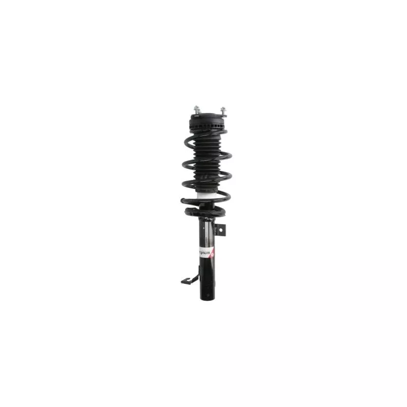 Jeu de suspensions, ressorts/amortisseurs MAGNUM TECHNOLOGY SAG001MT