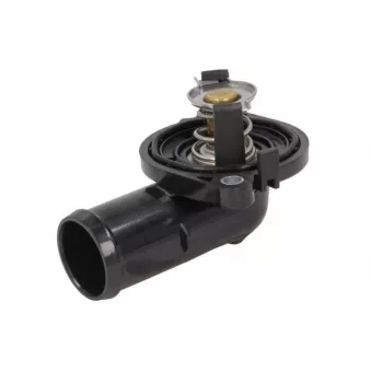 Thermostat, liquide de refroidissement THERMOTEC D2Y004TT