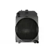Radiateur, refroidissement du moteur THERMOTEC D7AG408TT - Visuel 1