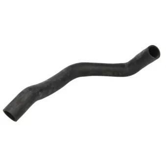 Durite de radiateur THERMOTEC DWM019TT