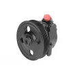 Pompe hydraulique, direction LAUBER 55.9958 - Visuel 1