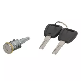 Cylindre de serrure BLIC 5050-00-AL410164