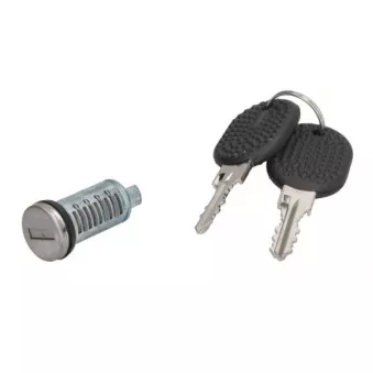 Cylindre de serrure BLIC 5050-00-FI411719