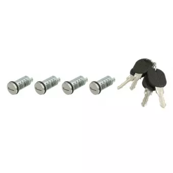 Cylindre de serrure BLIC 5050-00-FI421704