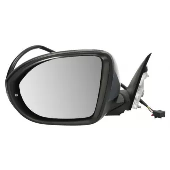 Rétroviseur extérieur BLIC 5402-01-2555310P