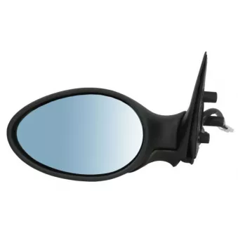 Rétroviseur extérieur BLIC 5402-04-1125273P