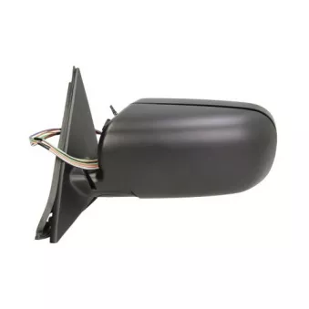 Rétroviseur extérieur BLIC 5402-04-1125825P