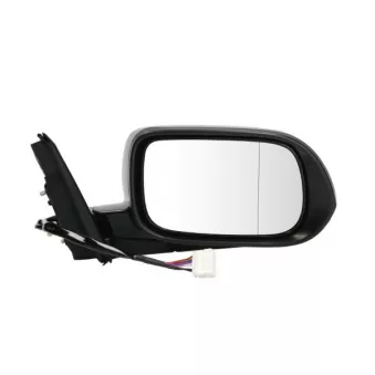 Rétroviseur extérieur BLIC 5402-04-1129219P