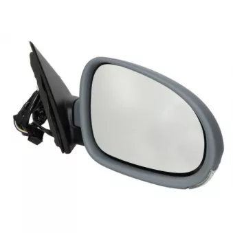 Rétroviseur extérieur BLIC 5402-04-1132118P