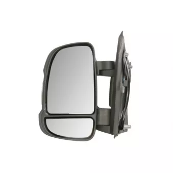 Rétroviseur extérieur BLIC 5402-04-2579312P