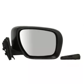 Rétroviseur extérieur BLIC 5402-04-9221321P