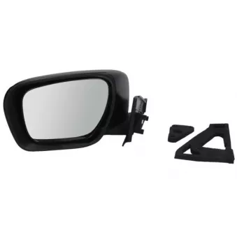 Rétroviseur extérieur BLIC 5402-04-9225321P