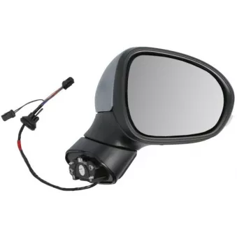 Rétroviseur extérieur BLIC 5402-07-0302311P