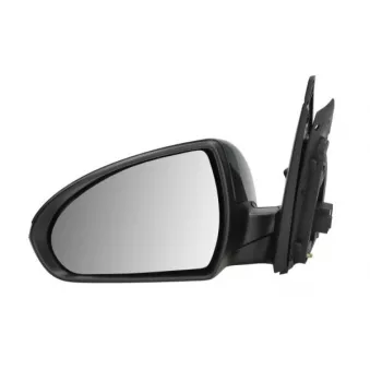 Rétroviseur extérieur BLIC 5402-20-2239312P