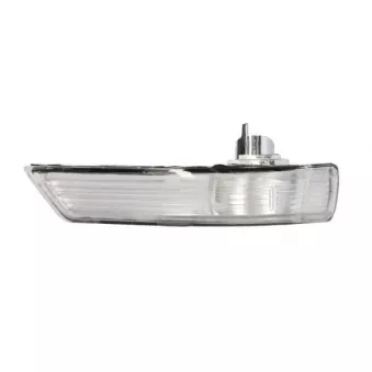 Feu clignotant avant gauche BLIC 5403-017-13-861