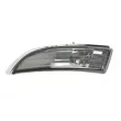 Feu clignotant BLIC 5403-017-30-863 - Visuel 1