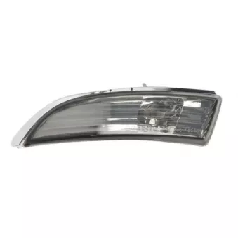 Feu clignotant BLIC 5403-017-30-863