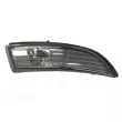 Feu clignotant BLIC 5403-017-30-864 - Visuel 1
