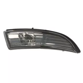 Feu clignotant BLIC 5403-017-30-864