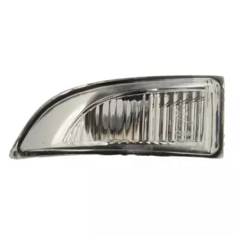 Feu clignotant BLIC 5403-09-052107P