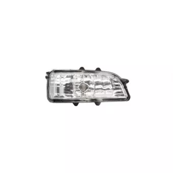 Feu clignotant BLIC 5403-24-022106P