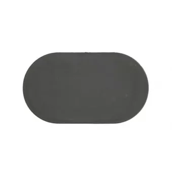Grille de ventilation, pare-chocs BLIC 5504-00-0097939PP