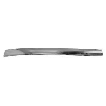 Baguette et bande protectrice, pare-chocs avant gauche BLIC 5510-00-9586923P